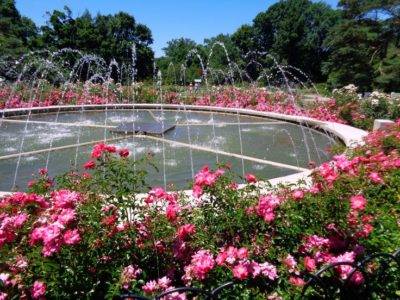 The Park of Roses is one of many gorgeous places in Clintonville, come explore today! (614) 451-6616