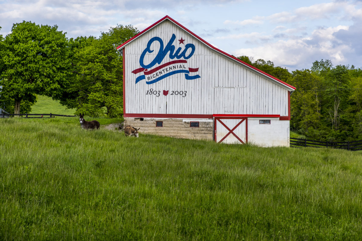 Ohio farmers are to blame for the way taxes are, learn more in this article and call us today! (614) 451-6616