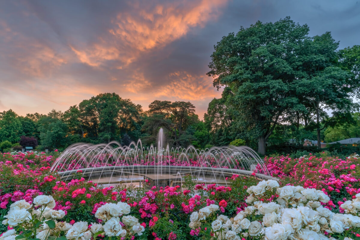 best neighborhoods in columbus ohio 2025, park of roses clintonville ohio